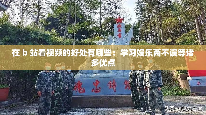 在 b 站看视频的好处有哪些：学习娱乐两不误等诸多优点