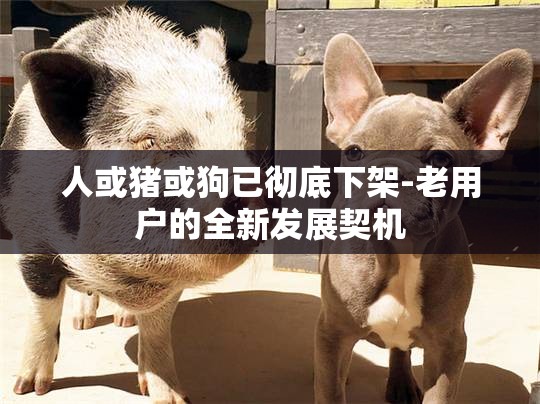 人或猪或狗已彻底下架-老用户的全新发展契机