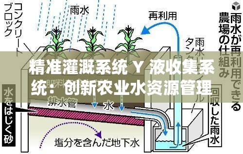 精准灌溉系统 Y 液收集系统：创新农业水资源管理的高效方案