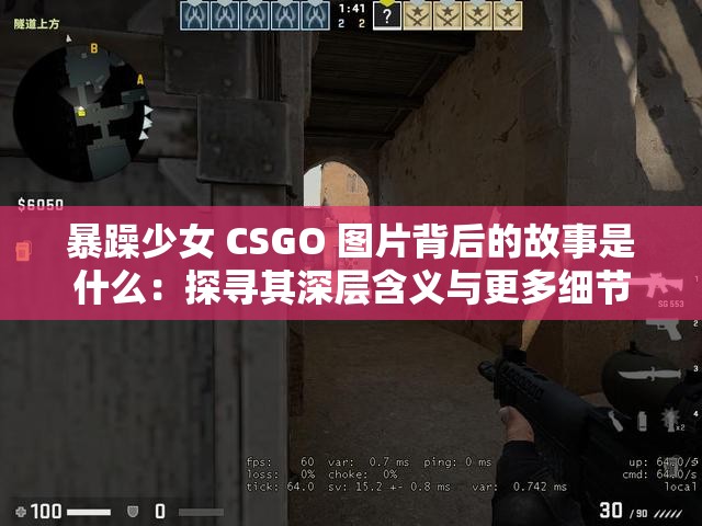 暴躁少女 CSGO 图片背后的故事是什么：探寻其深层含义与更多细节