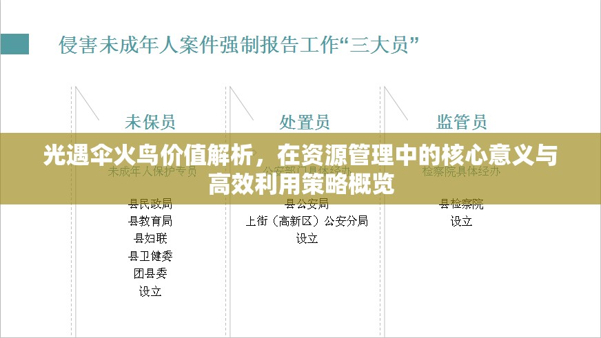 光遇伞火鸟价值解析，在资源管理中的核心意义与高效利用策略概览