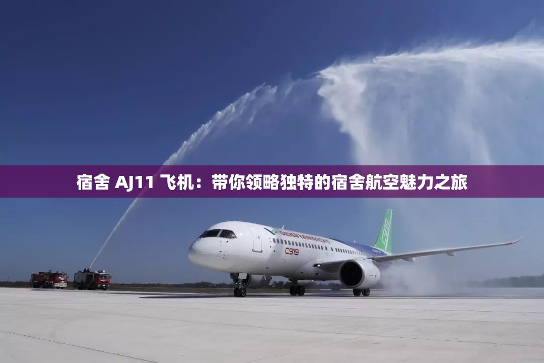 宿舍 AJ11 飞机：带你领略独特的宿舍航空魅力之旅