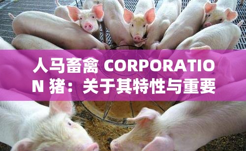 人马畜禽 CORPORATION 猪：关于其特性与重要性的探讨