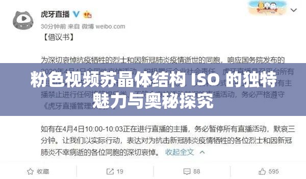 粉色视频苏晶体结构 ISO 的独特魅力与奥秘探究