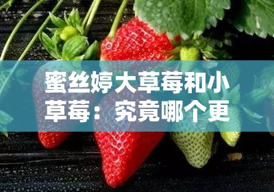 蜜丝婷大草莓和小草莓：究竟哪个更胜一筹？