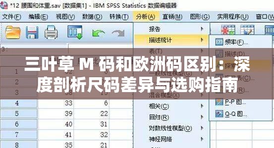 三叶草 M 码和欧洲码区别：深度剖析尺码差异与选购指南