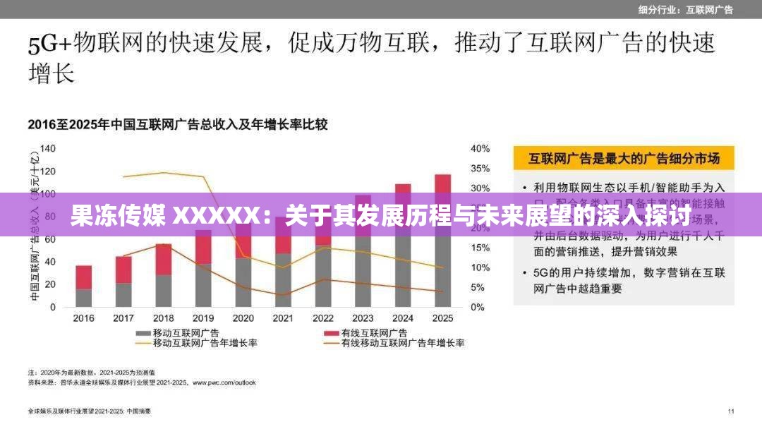 果冻传媒 XXXXX：关于其发展历程与未来展望的深入探讨