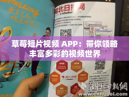 草莓短片视频 APP：带你领略丰富多彩的视频世界