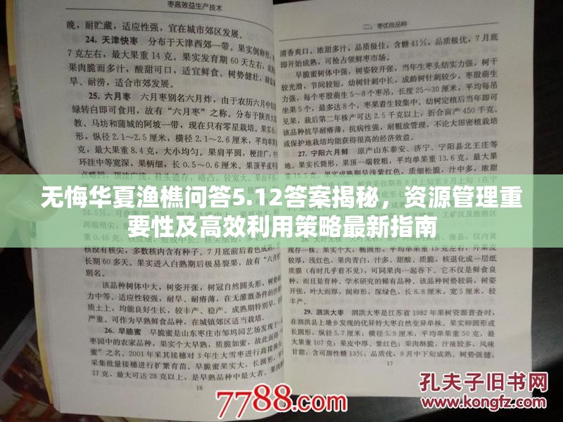 无悔华夏渔樵问答5.12答案揭秘，资源管理重要性及高效利用策略最新指南