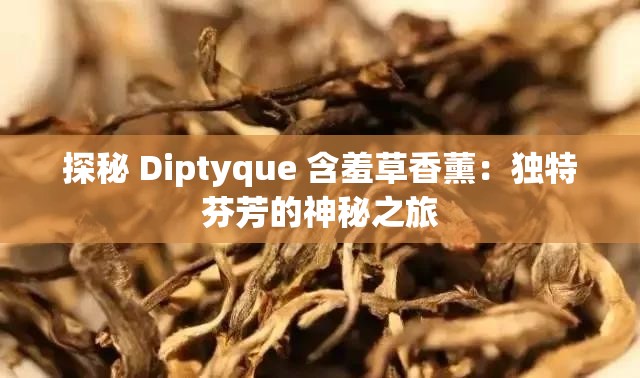 探秘 Diptyque 含羞草香薰：独特芬芳的神秘之旅