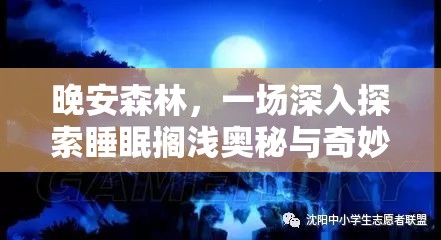 晚安森林，一场深入探索睡眠搁浅奥秘与奇妙的梦幻之旅