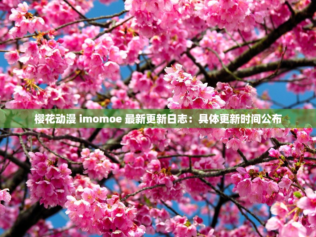 樱花动漫 imomoe 最新更新日志：具体更新时间公布