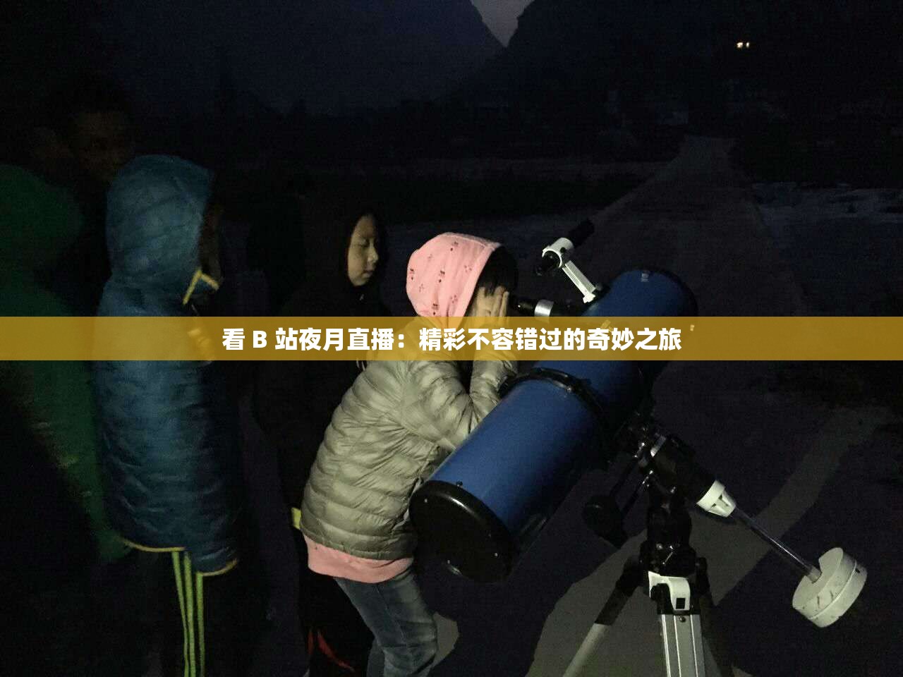 看 B 站夜月直播：精彩不容错过的奇妙之旅