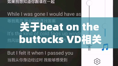 关于beat on the buttocks VD相关内容的探讨与分析