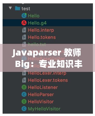 Javaparser 教师 Big：专业知识丰富的卓越教育者