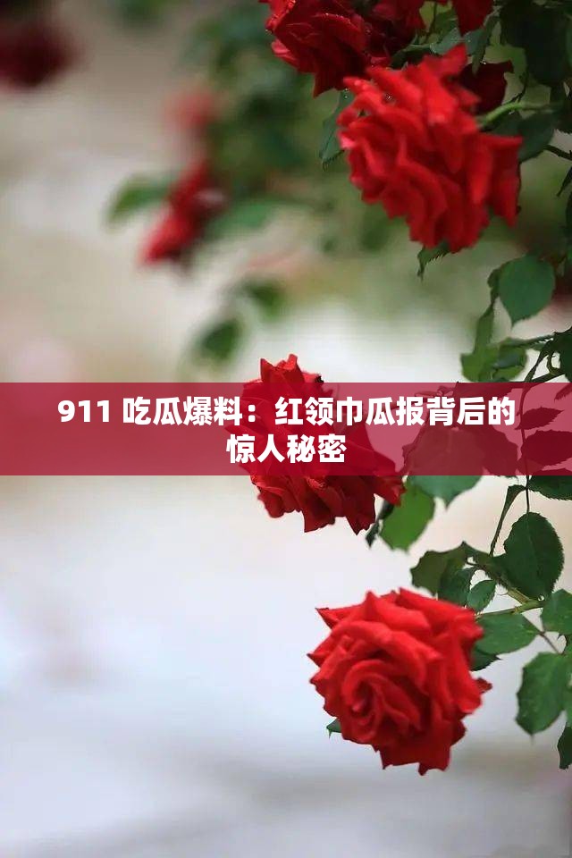 911 吃瓜爆料：红领巾瓜报背后的惊人秘密