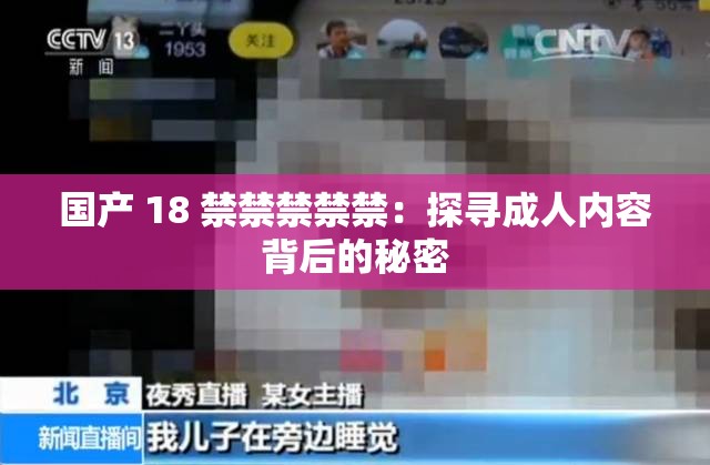 国产 18 禁禁禁禁禁：探寻成人内容背后的秘密