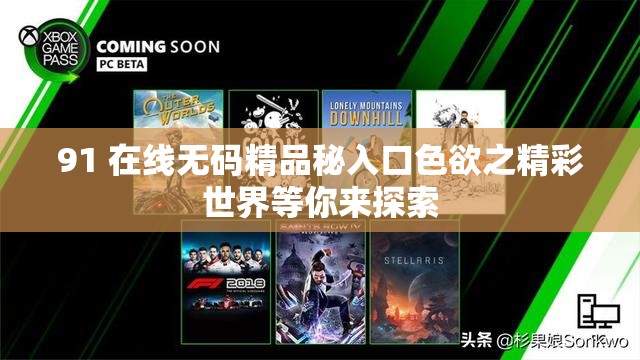 91 在线无码精品秘入口色欲之精彩世界等你来探索