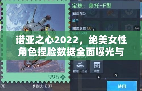 诺亚之心2022，绝美女性角色捏脸数据全面曝光与深度揭秘