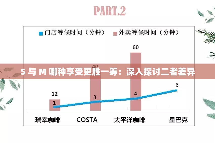 S 与 M 哪种享受更胜一筹：深入探讨二者差异