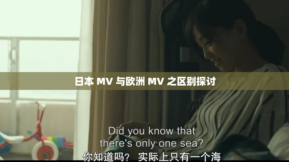 日本 MV 与欧洲 MV 之区别探讨