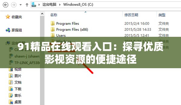 91精品在线观看入口：探寻优质影视资源的便捷途径