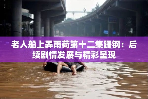 老人船上弄雨荷第十二集跚钢：后续剧情发展与精彩呈现