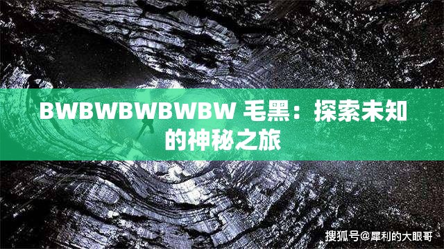 BWBWBWBWBW 毛黑：探索未知的神秘之旅