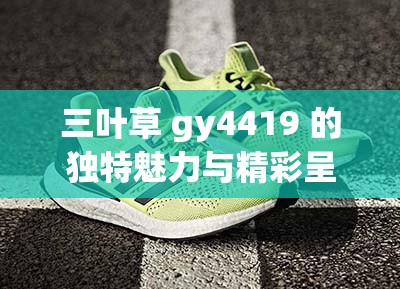 三叶草 gy4419 的独特魅力与精彩呈现