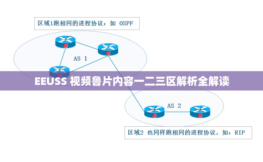 EEUSS 视频鲁片内容一二三区解析全解读