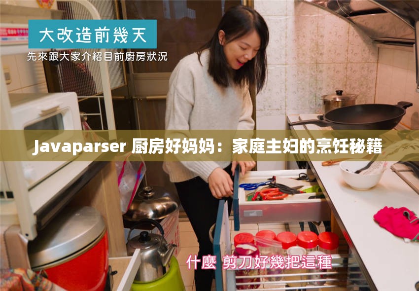 Javaparser 厨房好妈妈：家庭主妇的烹饪秘籍