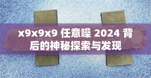 x9x9x9 任意噪 2024 背后的神秘探索与发现