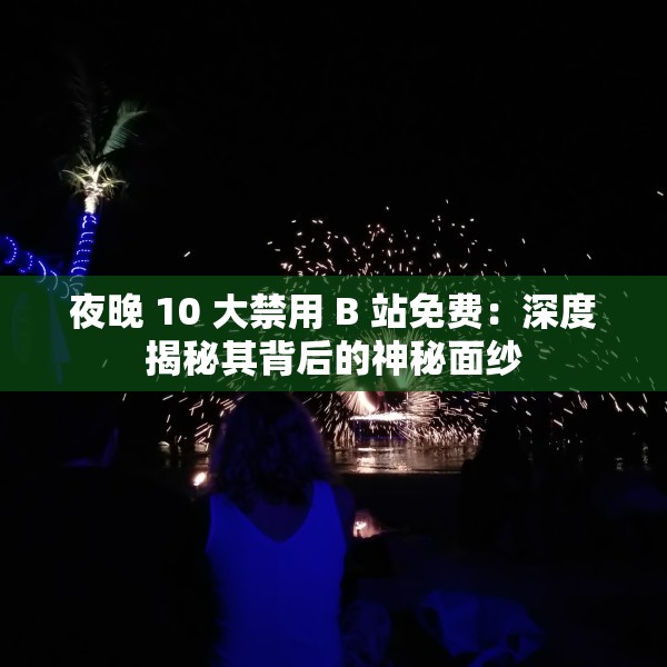 夜晚 10 大禁用 B 站免费：深度揭秘其背后的神秘面纱