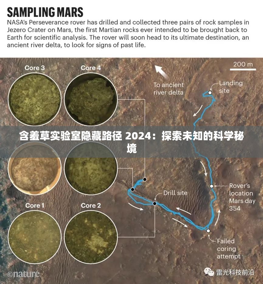 含羞草实验室隐藏路径 2024：探索未知的科学秘境