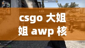 csgo 大姐姐 awp 核实为长久封禁发声：莫让谣言掩盖真相