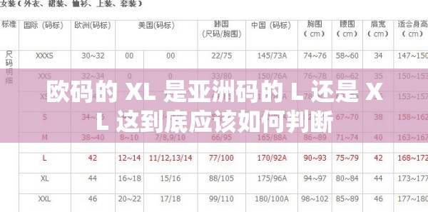 欧码的 XL 是亚洲码的 L 还是 XL 这到底应该如何判断