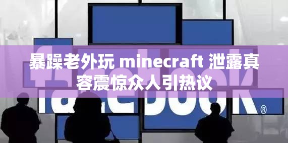 暴躁老外玩 minecraft 泄露真容震惊众人引热议