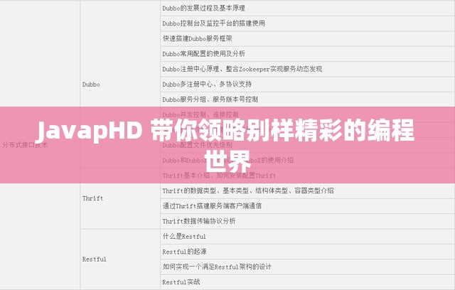 JavapHD 带你领略别样精彩的编程世界