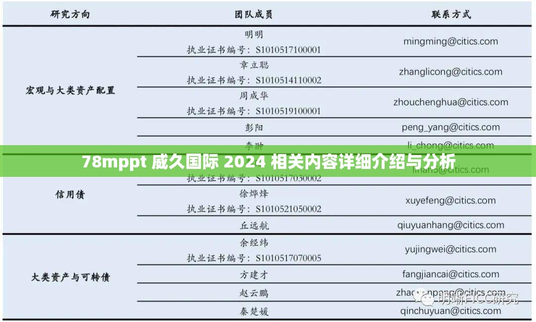 78mppt 威久国际 2024 相关内容详细介绍与分析