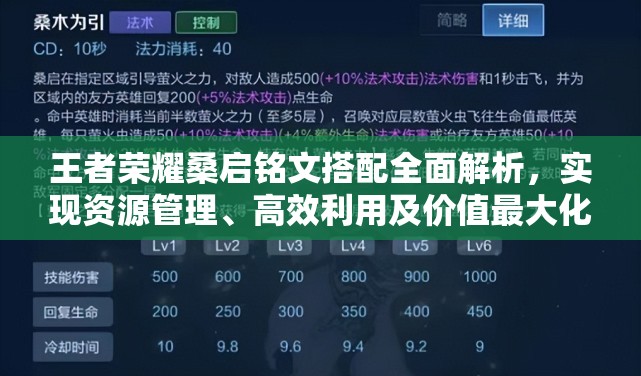 王者荣耀桑启铭文搭配全面解析，实现资源管理、高效利用及价值最大化策略