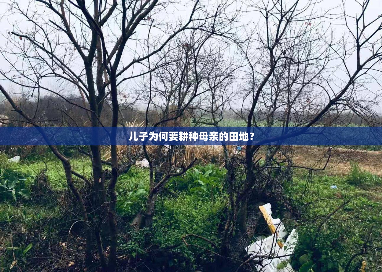 儿子为何要耕种母亲的田地？