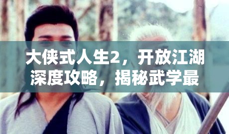 大侠式人生2，开放江湖深度攻略，揭秘武学最强搭配与秘籍