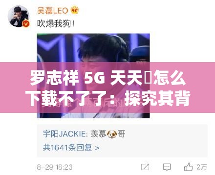 罗志祥 5G 天天奭怎么下载不了了：探究其背后原因及解决办法