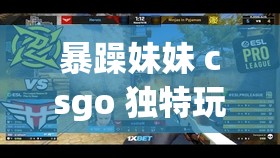 暴躁妹妹 csgo 独特玩法揭秘：带你走进不一样的游戏世界