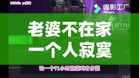 老婆不在家一个人寂寞CSGO：畅享独属于我的游戏时光