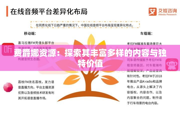 费爵娜资源：探索其丰富多样的内容与独特价值