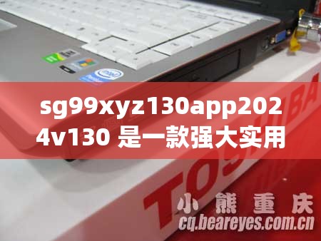 sg99xyz130app2024v130 是一款强大实用的软件