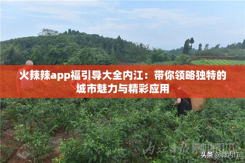 火辣辣app福引导大全内江：带你领略独特的城市魅力与精彩应用