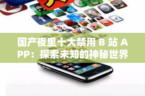 国产夜里十大禁用 B 站 APP：探索未知的神秘世界