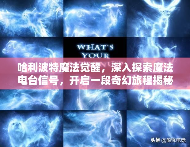 哈利波特魔法觉醒，深入探索魔法电台信号，开启一段奇幻旅程揭秘